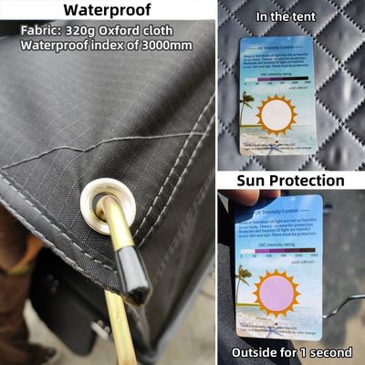 2-3 Person Car Roof Mounted Tent 210x132cm Aluminum Hardshell Telescopic Ladder